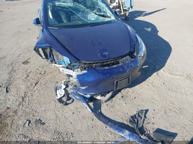 2023 TESLA MODEL 3 5YJ3E1EA8PF619057 Photo 5