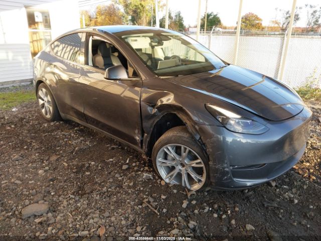 2023 TESLA MODEL Y 7SAYGDEE8PF861550