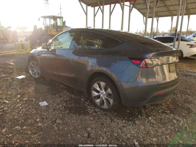 2023 TESLA MODEL Y 7SAYGDEE8PF861550 Photo 2