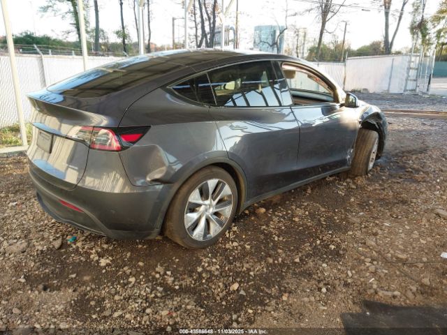 2023 TESLA MODEL Y 7SAYGDEE8PF861550 Photo 3