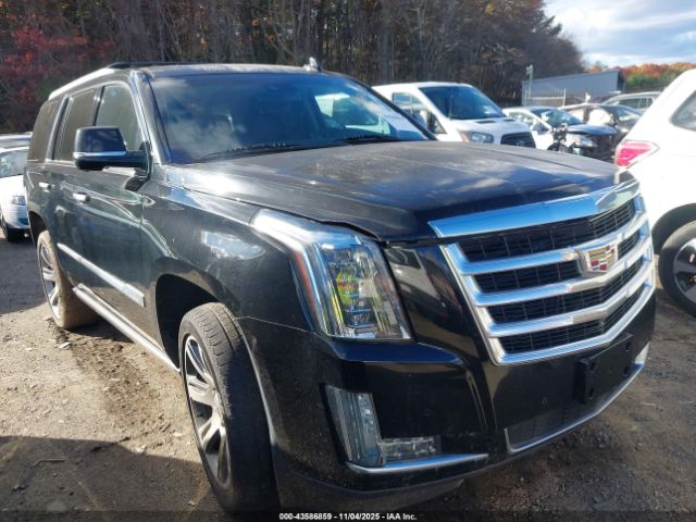 2015 CADILLAC ESCALADE 1GYS4NKJ8FR633618 Photo 0