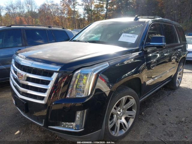 2015 CADILLAC ESCALADE 1GYS4NKJ8FR633618 Photo 1