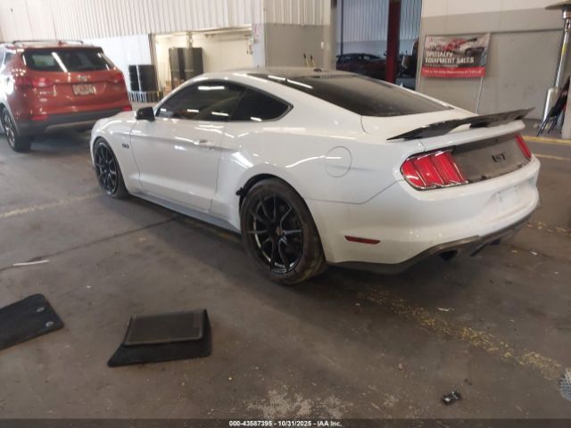 2019 FORD MUSTANG 1FA6P8CF4K5202372 Photo 2