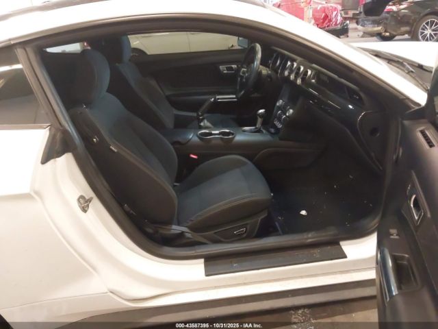 2019 FORD MUSTANG 1FA6P8CF4K5202372 Photo 4