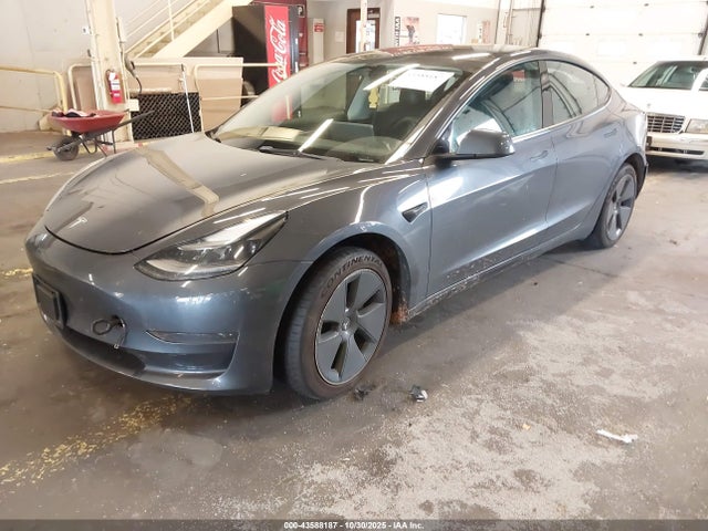 2023 TESLA MODEL 3 5YJ3E1EA5PF450535 Photo 1