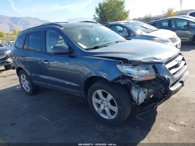 2009 HYUNDAI SANTA FE 5NMSH73E69H263415