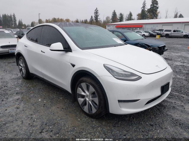 2020 TESLA MODEL Y 5YJYGDEEXLF055748 Photo 0