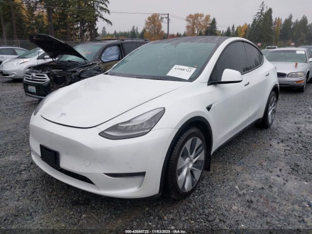 2020 TESLA MODEL Y 5YJYGDEEXLF055748 Photo 1
