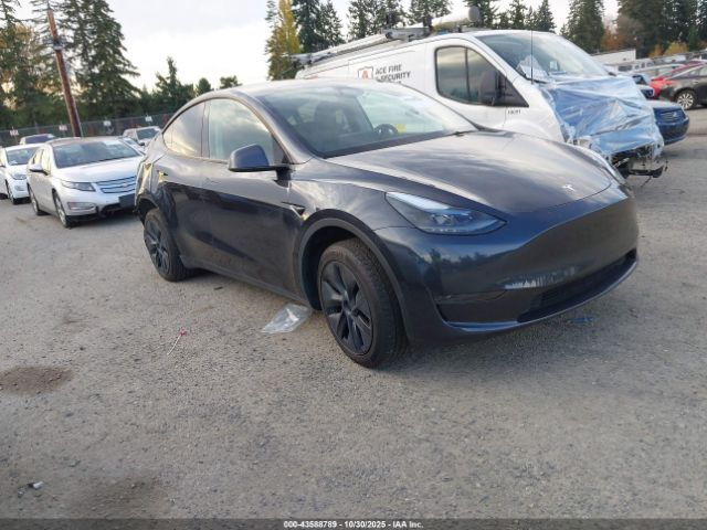 2024 TESLA MODEL Y 7SAYGDED7RF102852