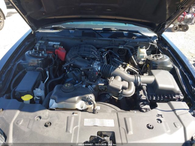 2014 FORD MUSTANG 1ZVBP8AM3E5311319 Photo 9