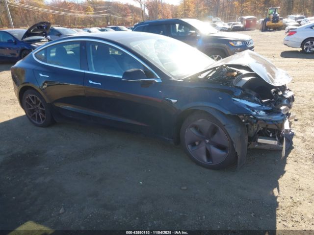 2019 TESLA MODEL 3 5YJ3E1EB2KF451451