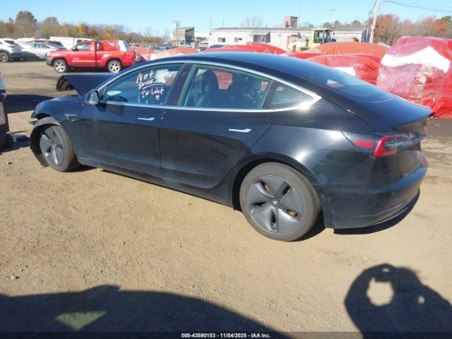 2019 TESLA MODEL 3 5YJ3E1EB2KF451451 Photo 2