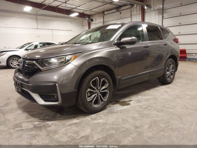 2020 HONDA CR-V 5J6RW2H52LL007434 Photo 1
