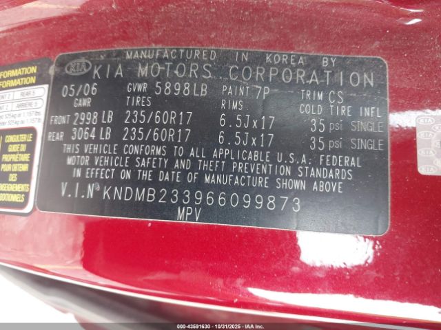 2006 KIA SEDONA KNDMB233966099873 Photo 8