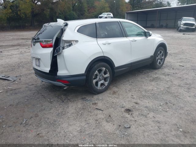 2019 HONDA CR-V 5J6RW1H56KA015167 Photo 3