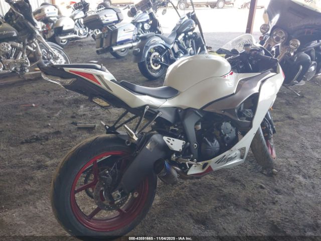 2024 KAWASAKI ZX636 JKBZXJK16RA002461 Photo 3