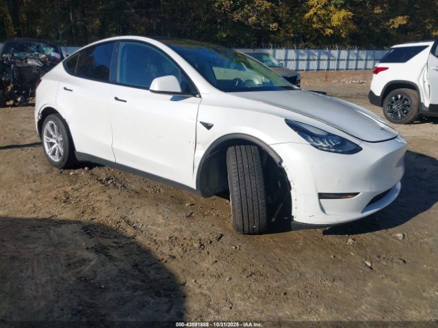 2021 TESLA MODEL Y 5YJYGDED4MF109604