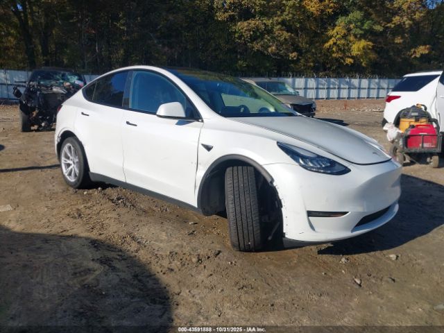 2021 TESLA MODEL Y 5YJYGDED4MF109604 Photo 5