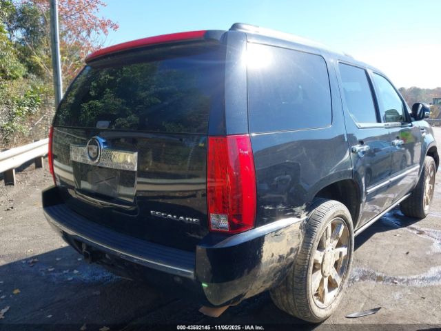 2009 CADILLAC ESCALADE 1GYFK23279R131457 Photo 3