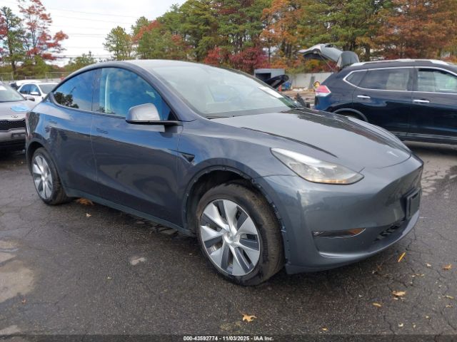 2023 TESLA MODEL Y 7SAYGDED6PF948385 Photo 0