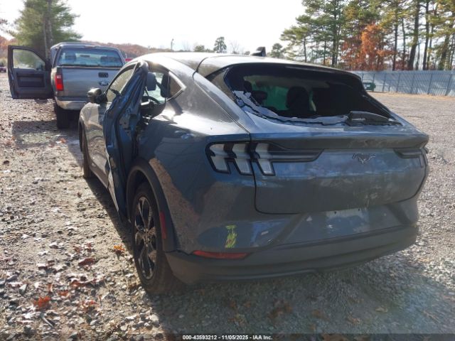 2024 FORD MUSTANG MACH-E 3FMTK1R41RMA42671 Photo 2
