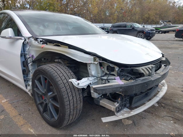 2020 TESLA MODEL 3 5YJ3E1EC7LF624942 Photo 5