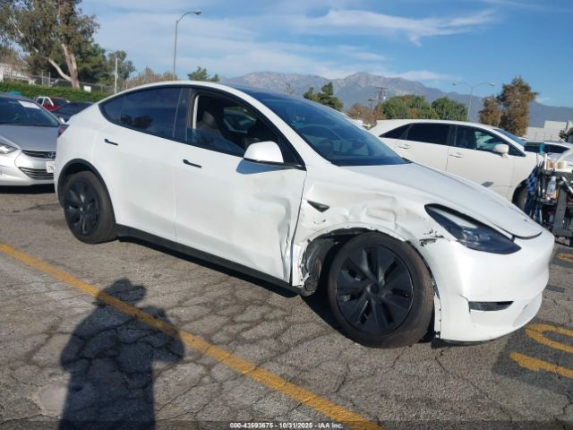 2025 TESLA MODEL Y 7SAYGDEE6SF218820 Photo 0