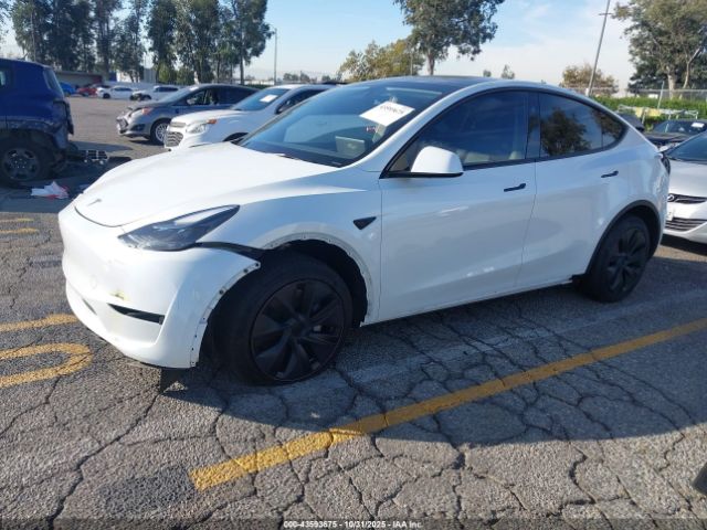 2025 TESLA MODEL Y 7SAYGDEE6SF218820 Photo 1
