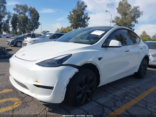 2025 TESLA MODEL Y 7SAYGDEE6SF218820 Photo 5