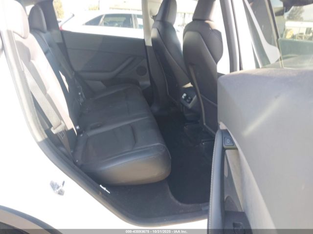 2025 TESLA MODEL Y 7SAYGDEE6SF218820 Photo 7