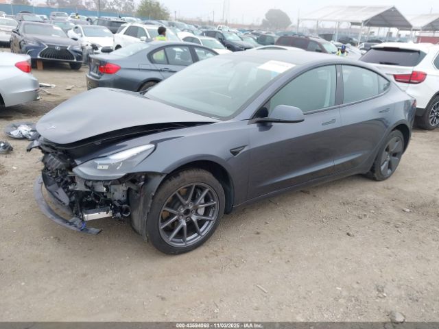 2023 TESLA MODEL 3 5YJ3E1EA9PF616782 Photo 1
