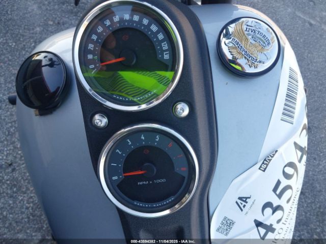 2020 HARLEY-DAVIDSON FXLRS 1HD1YWK11LB063539 Photo 6