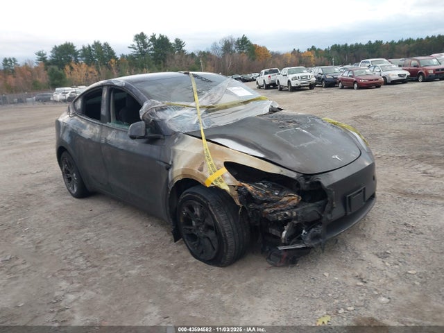 2023 TESLA MODEL Y 7SAYGDEE9PA177555 Photo 0