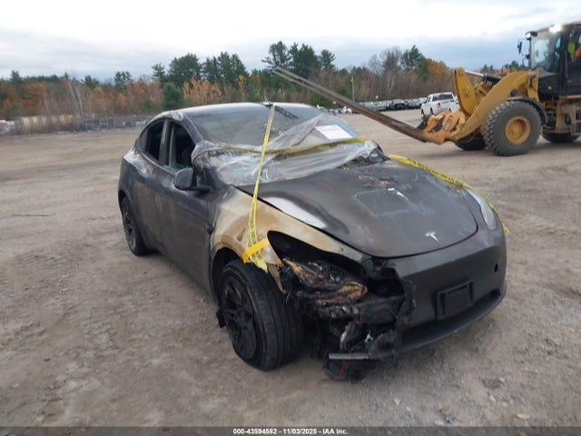 2023 TESLA MODEL Y 7SAYGDEE9PA177555 Photo 5