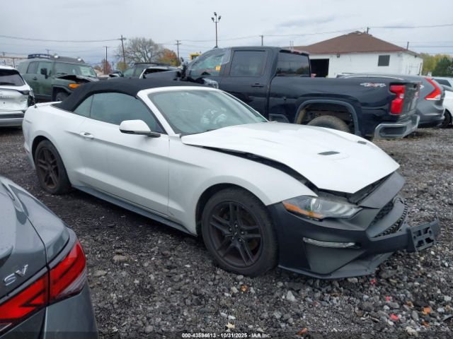 2019 FORD MUSTANG 1FATP8UH8K5131213