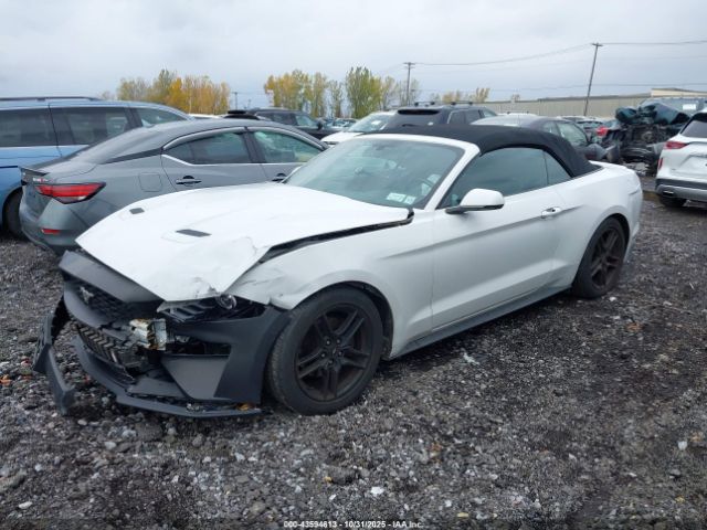 2019 FORD MUSTANG 1FATP8UH8K5131213 Photo 1