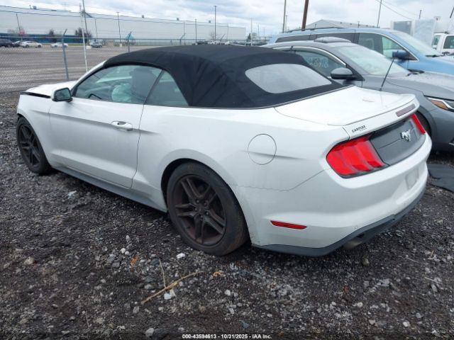 2019 FORD MUSTANG 1FATP8UH8K5131213 Photo 2