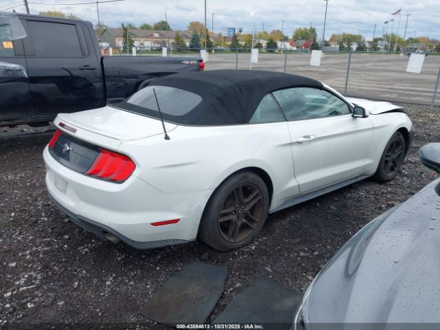 2019 FORD MUSTANG 1FATP8UH8K5131213 Photo 3