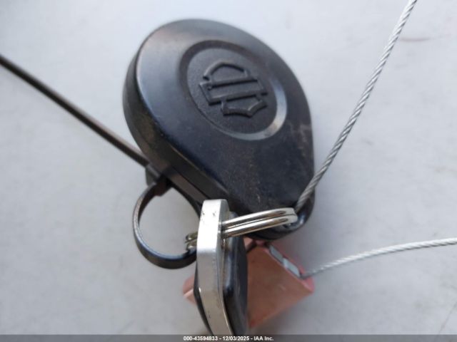 2021 HARLEY-DAVIDSON FXLRS 1HD1YWK16MB047211 Photo 10