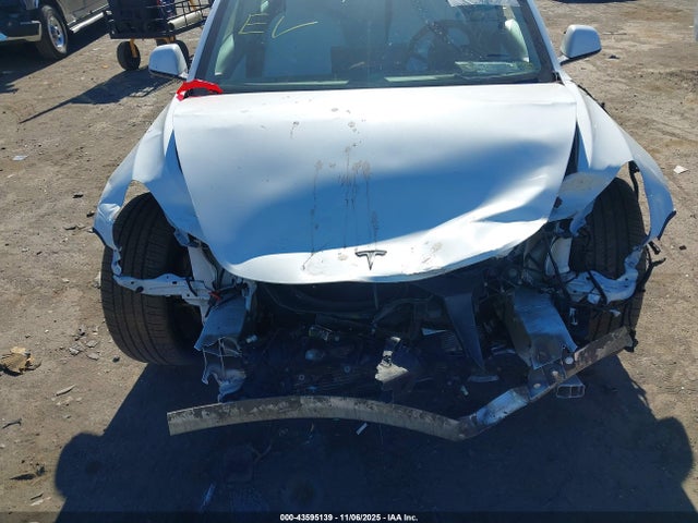 2020 TESLA MODEL 3 5YJ3E1EC8LF784229 Photo 5