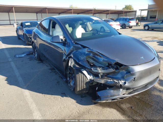 2023 TESLA MODEL Y 7SAYGDEF3PF864400