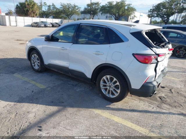 2022 FORD ESCAPE 1FMCU0G67NUA25873 Photo 2