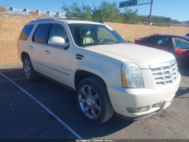 2010 CADILLAC ESCALADE 1GYUKCEF0AR251991