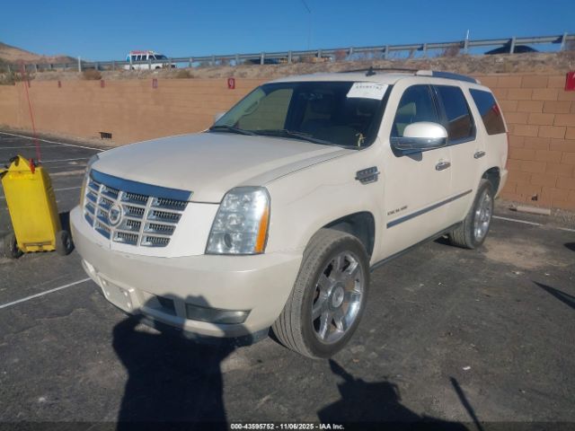 2010 CADILLAC ESCALADE 1GYUKCEF0AR251991 Photo 1