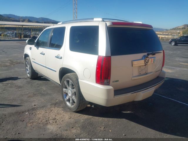2010 CADILLAC ESCALADE 1GYUKCEF0AR251991 Photo 2