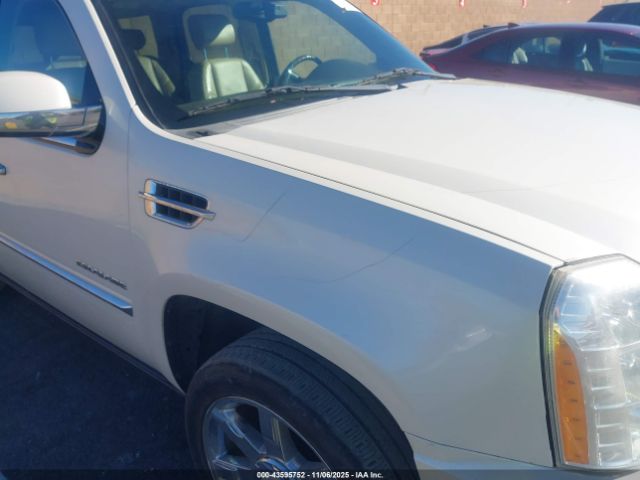 2010 CADILLAC ESCALADE 1GYUKCEF0AR251991 Photo 5