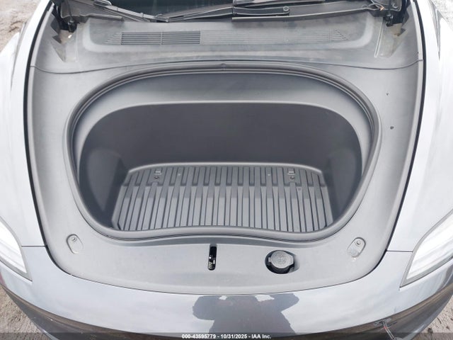 2025 TESLA MODEL 3 5YJ3E1EA8SF017350 Photo 9