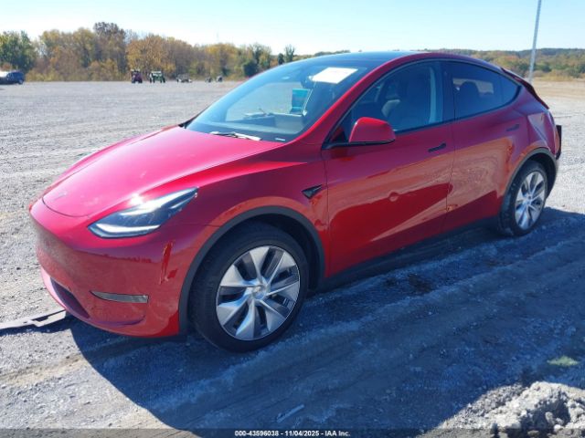 2023 TESLA MODEL Y 7SAYGDEE7PA102918 Photo 1