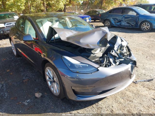 2021 TESLA MODEL 3 5YJ3E1EA8MF869975