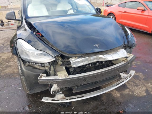 2023 TESLA MODEL Y 7SAYGDEF5PF876175 Photo 5